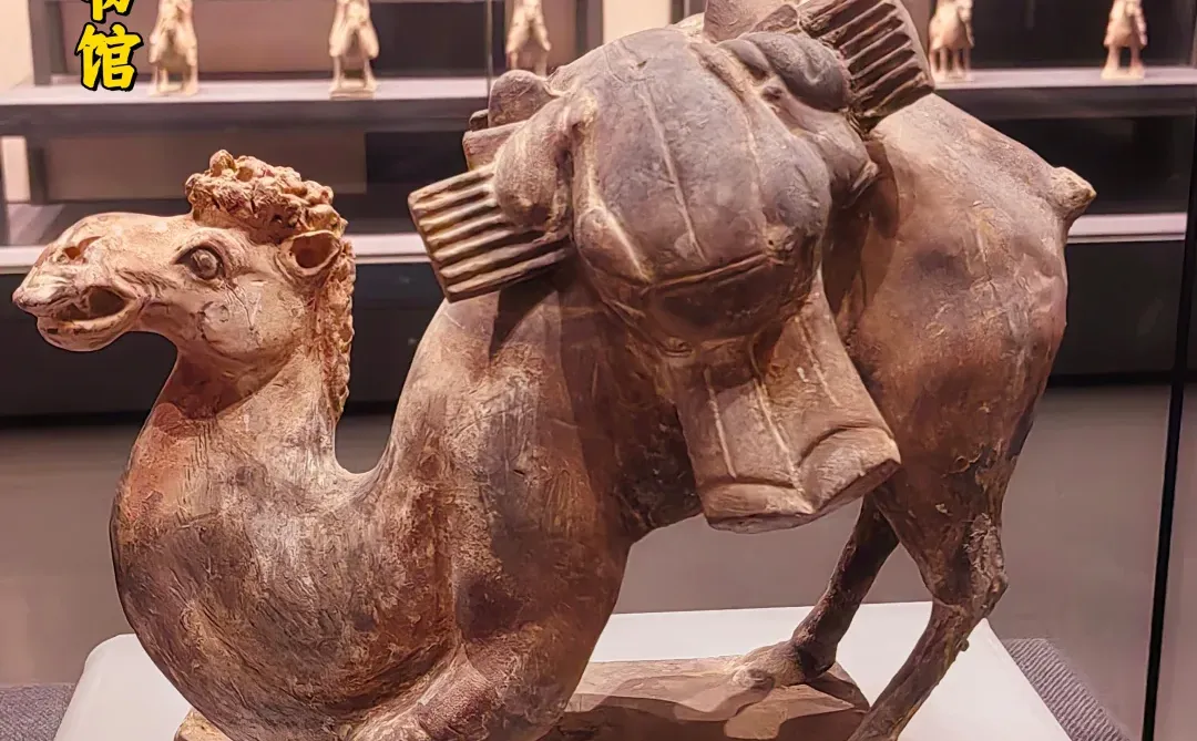 邯郸一日历史文化游