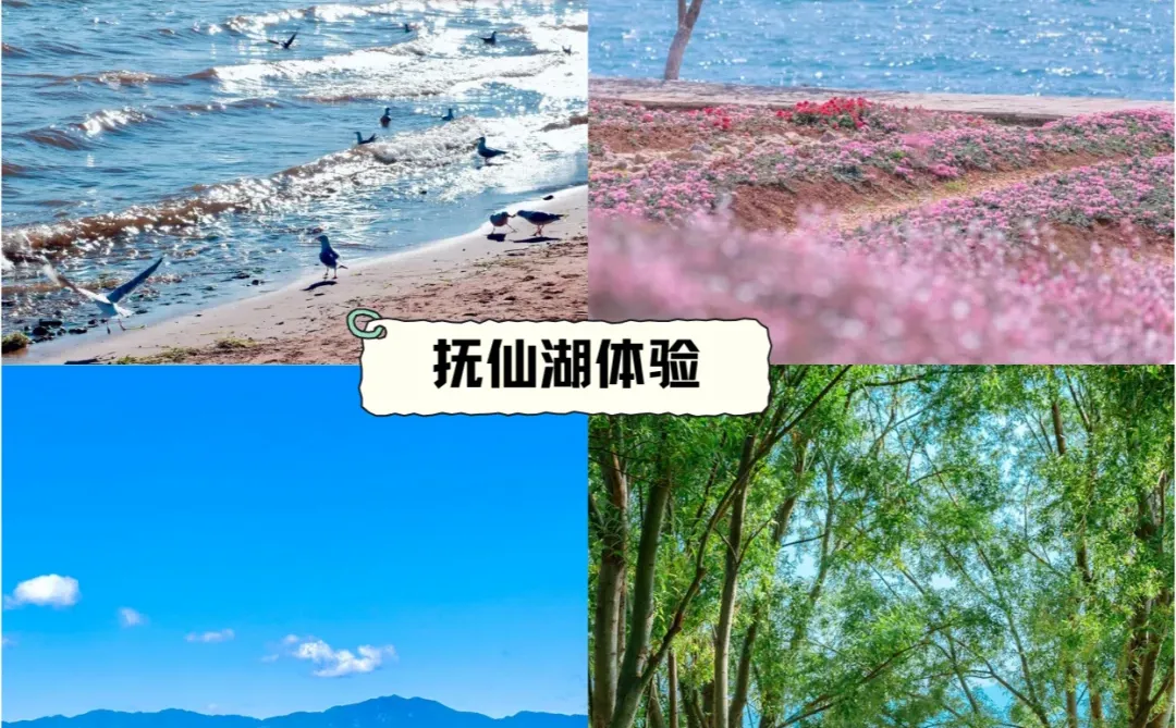 云南梦中情旅·私人订制 告别赶场式打卡