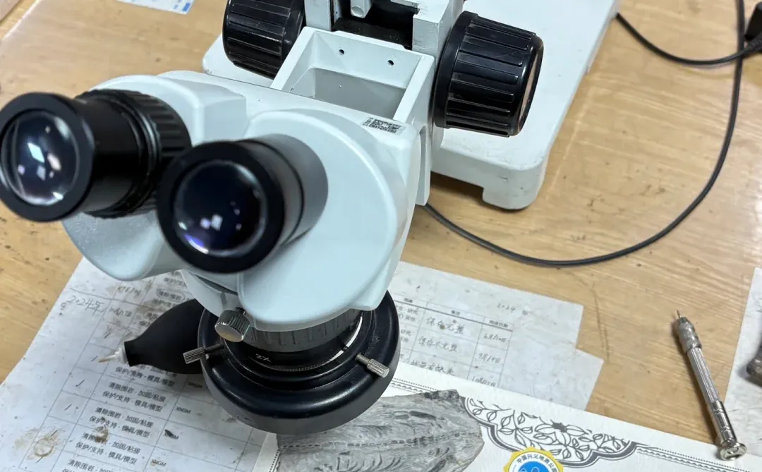 带娃贵州已回，亲测好玩的地方，下次还来😄