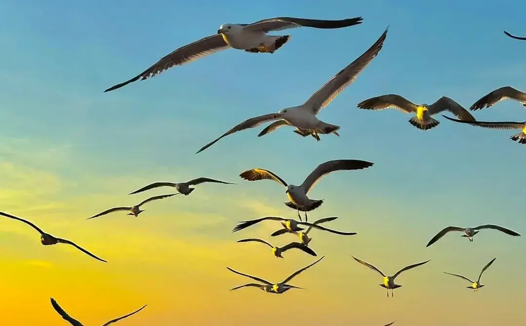 大连！！星海广场！！138俩人😭😭值哭