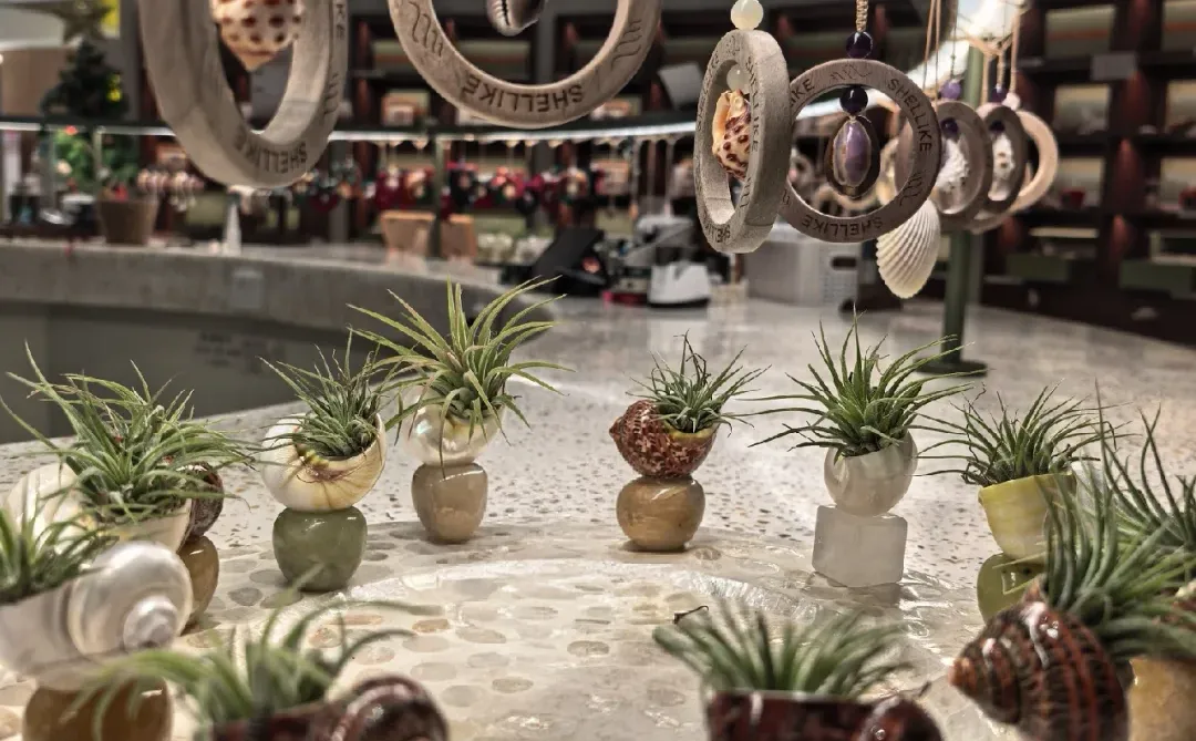 珠海🌊淡季来真的不要太爽!