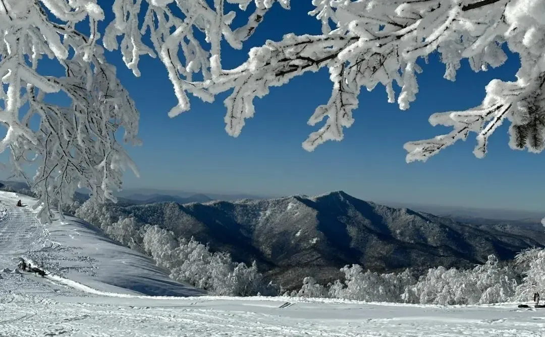 12.3📍哈尔滨穿衣实况，xhs都是骗人的！