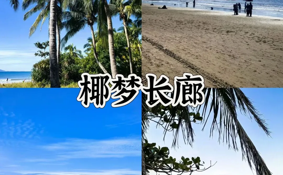 三亚不踩雷攻略！景区+美食全干货合集✅