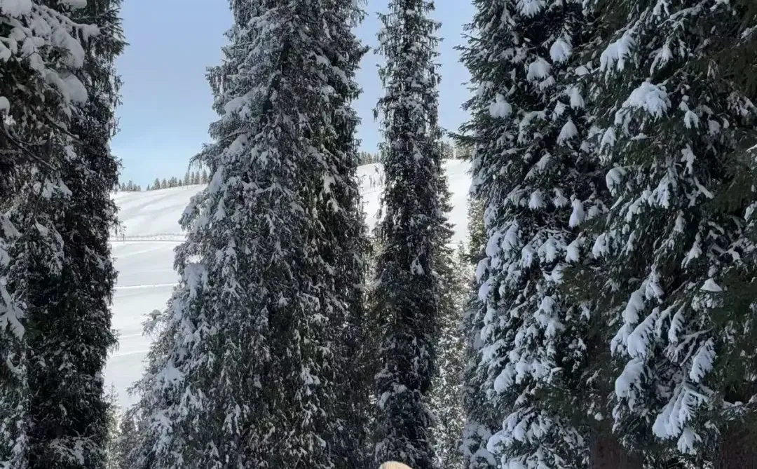 57岁背包游/在新疆玩雪玩过瘾了