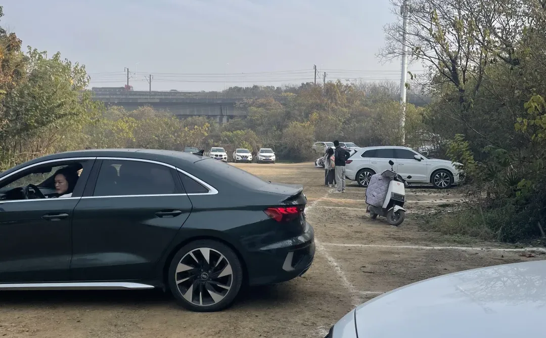 东湖落雁景区丨亲子遛娃路线丨13元的快乐