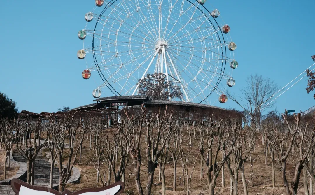 武汉遛娃|藏在景区的小天地木兰动物王国