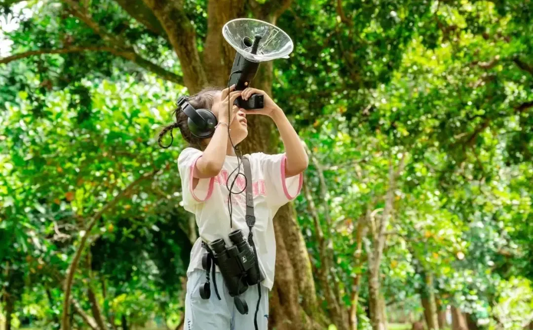 躺平式出游✔️这个西双版纳纯玩游没对手❗