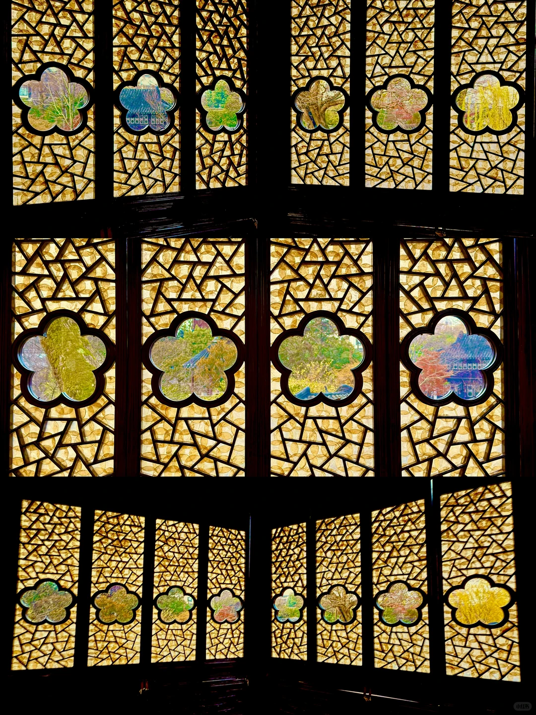 苏州12月赏秋🍂citywalk保姆级攻略(附路线)