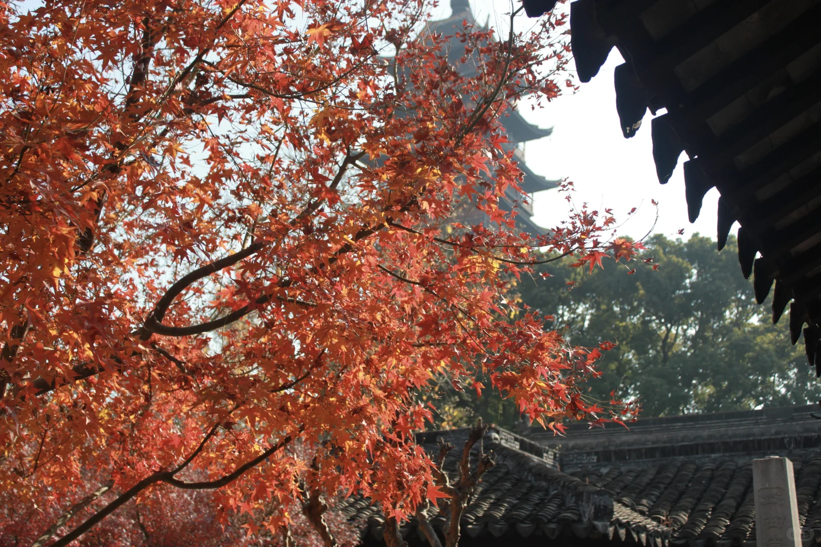 逃离城市计划 | 常熟你真的是，又美又安静