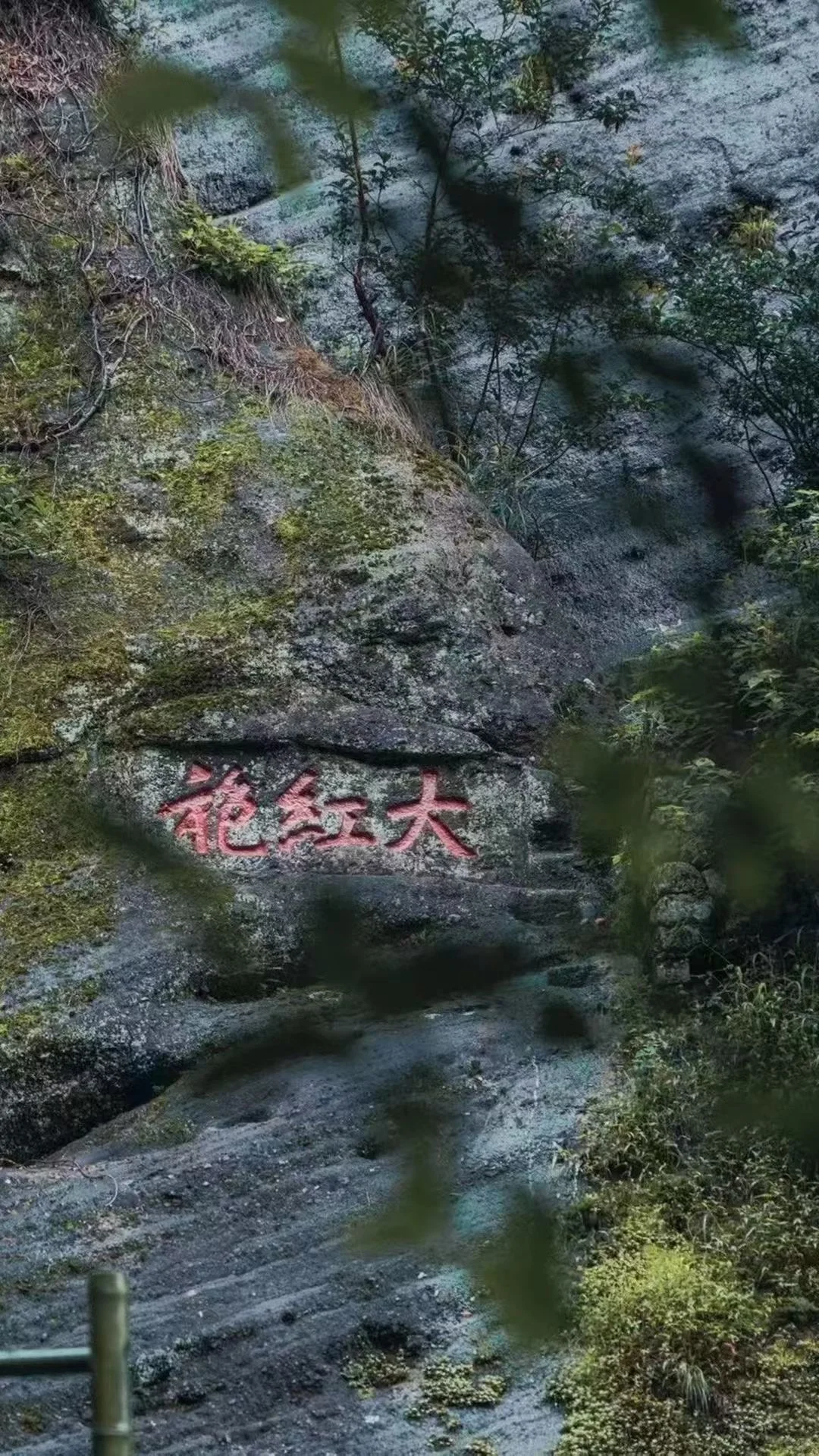 武夷山现在人少景美，景区门票全免！！！