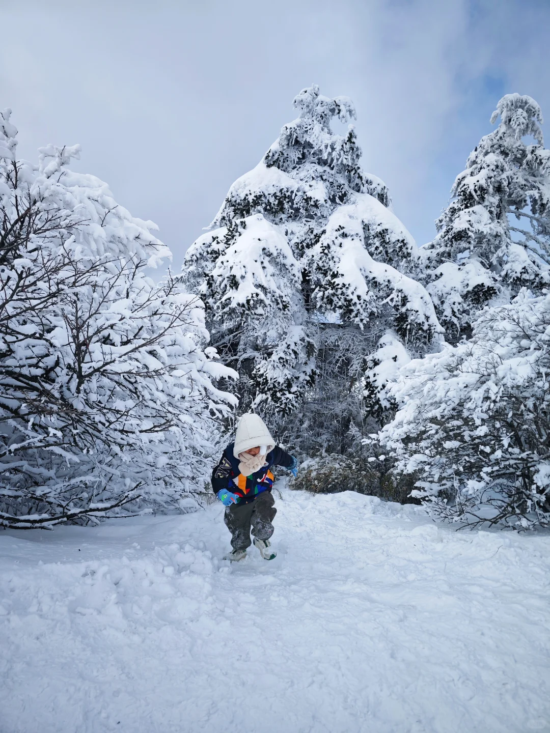 离广州最近的玩雪/滑雪攻略～神农架