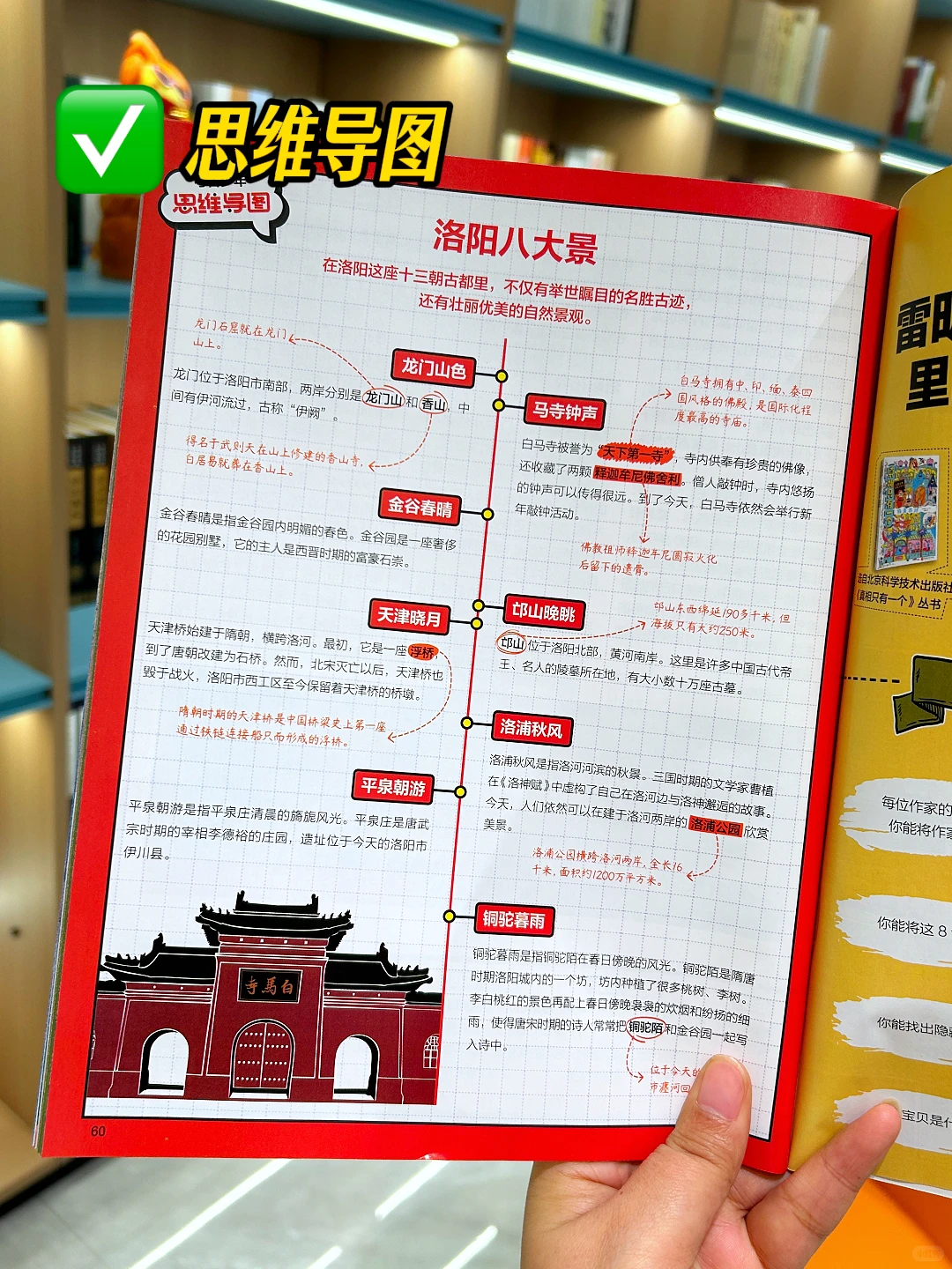 🌈好奇号打卡神都洛阳,感受盛唐繁华🌈