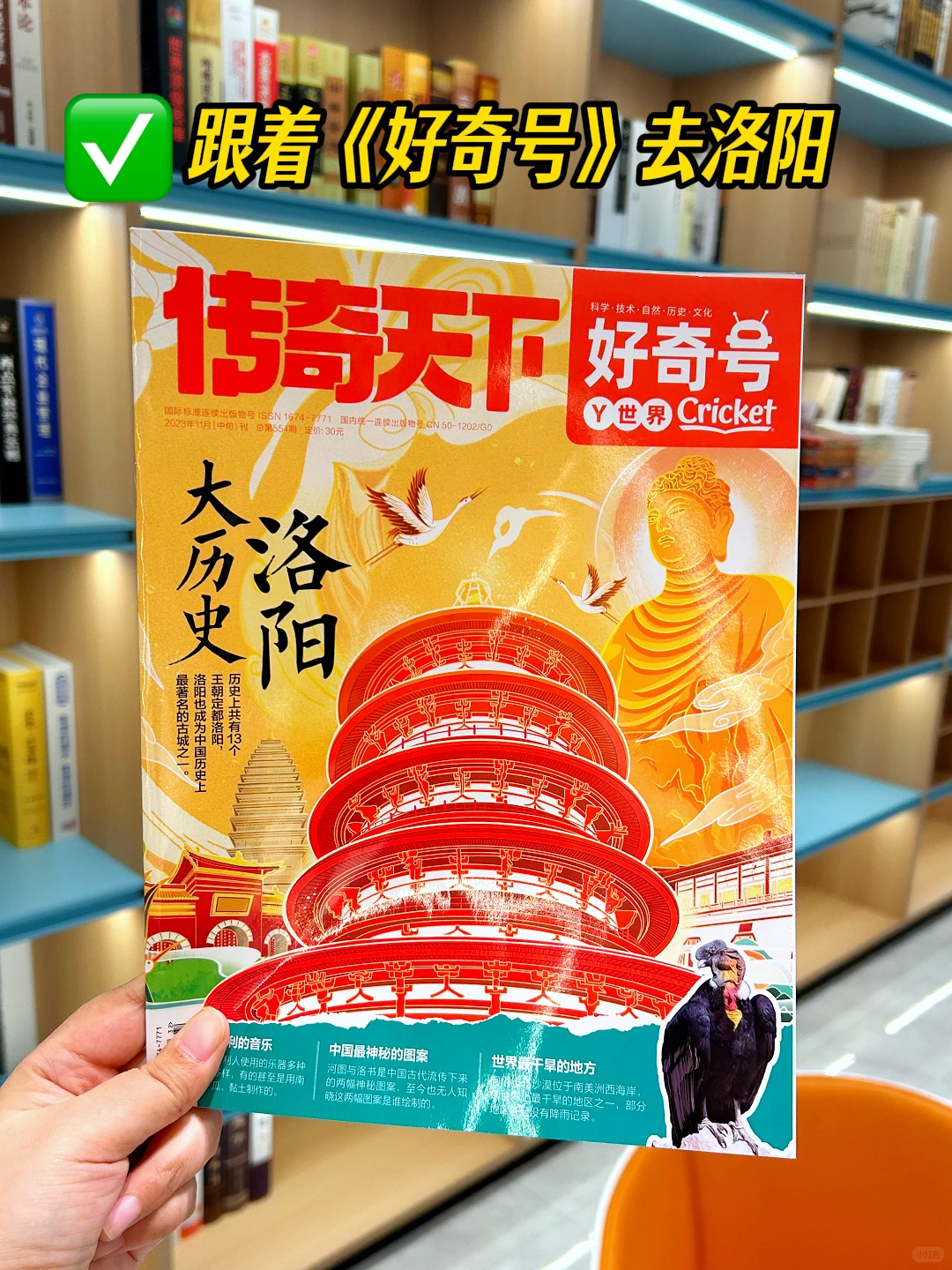 🌈好奇号打卡神都洛阳,感受盛唐繁华🌈