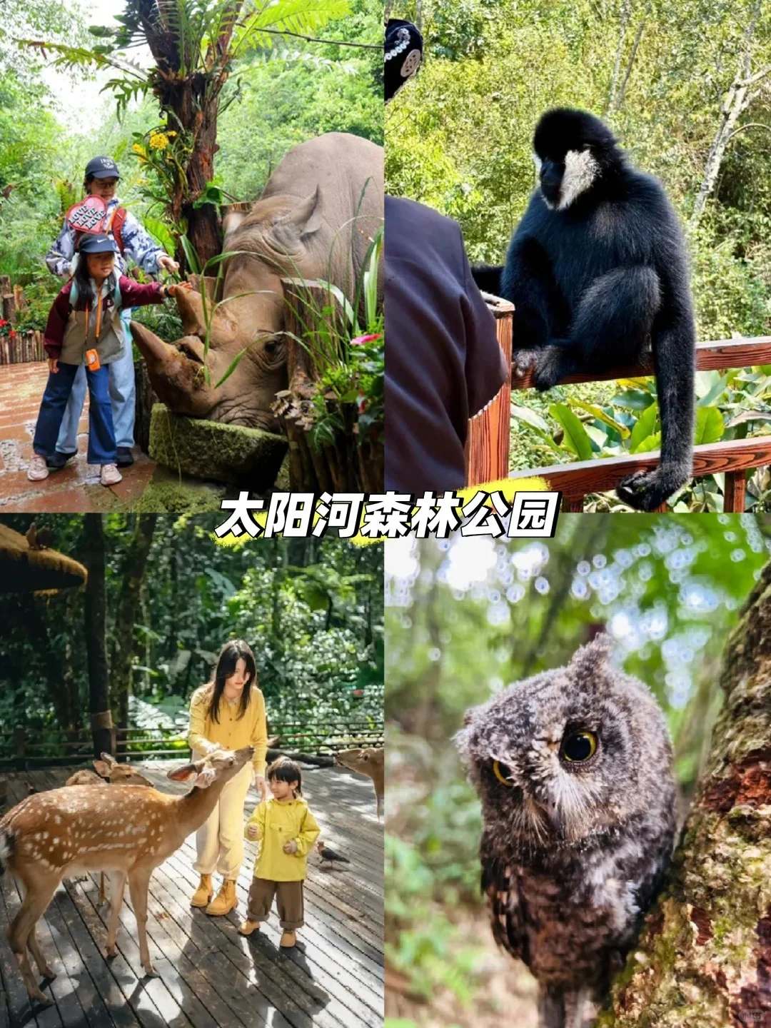 人生建议:带娃去西双版纳,一定要寒假去!