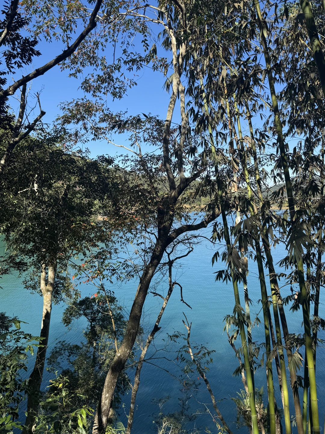 小学课本中的日月潭 🌞🌛