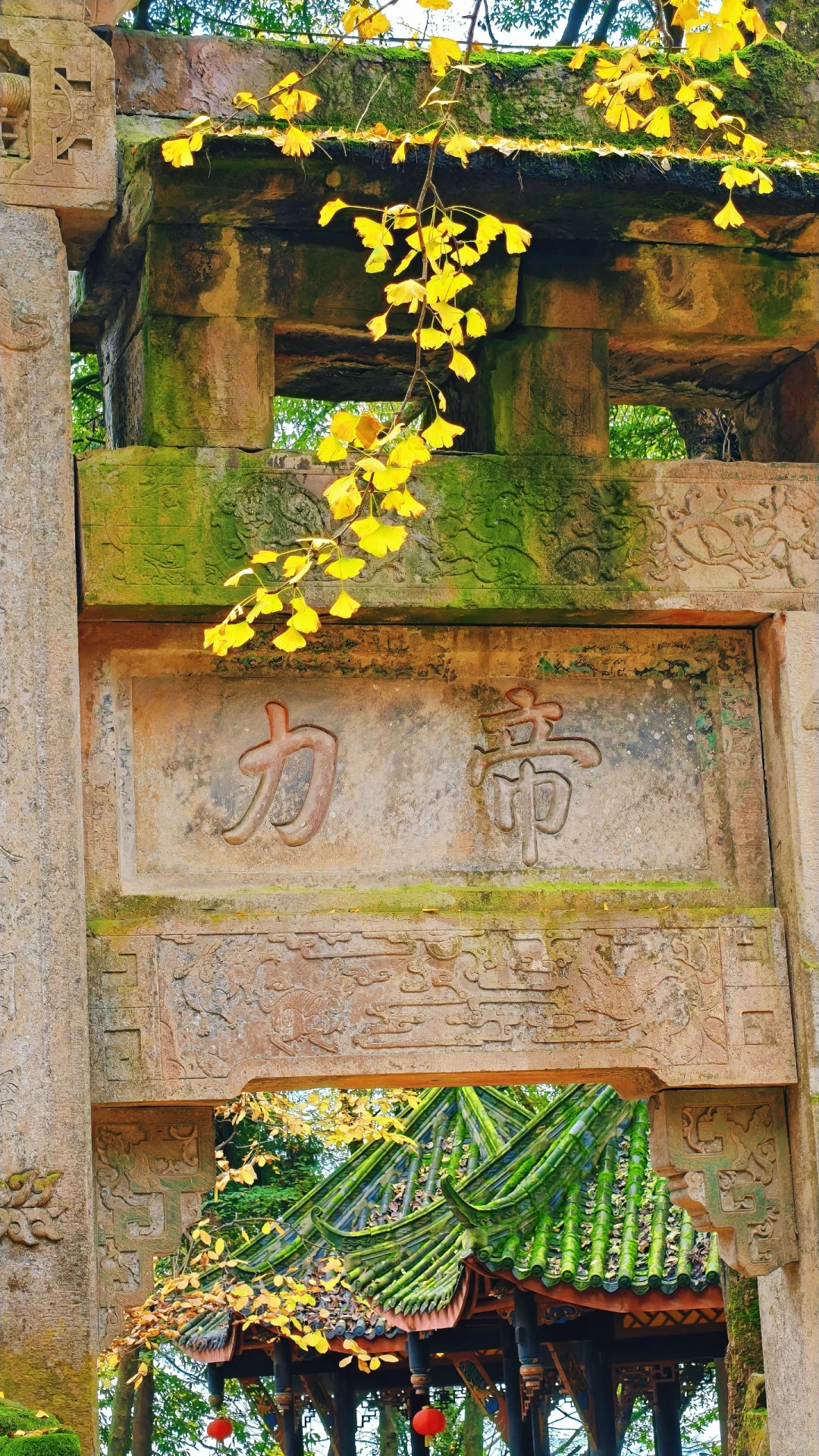 秋日古刹的静谧时光 🍁