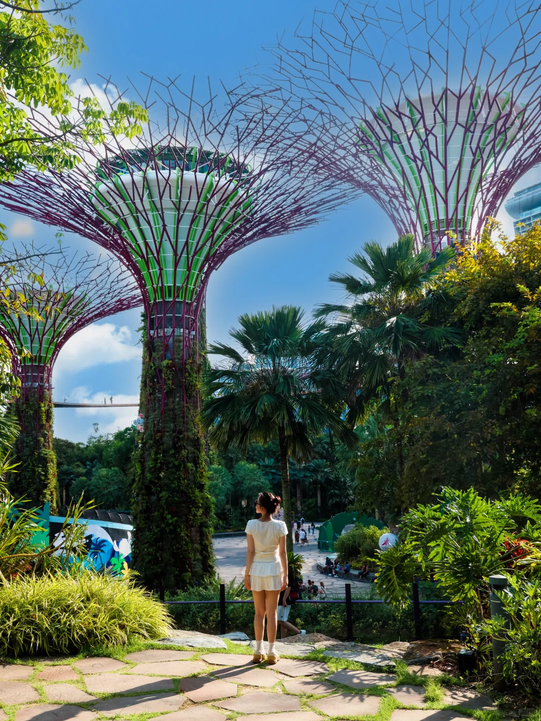 为了这18张照片,我飞了趟新加坡‼️