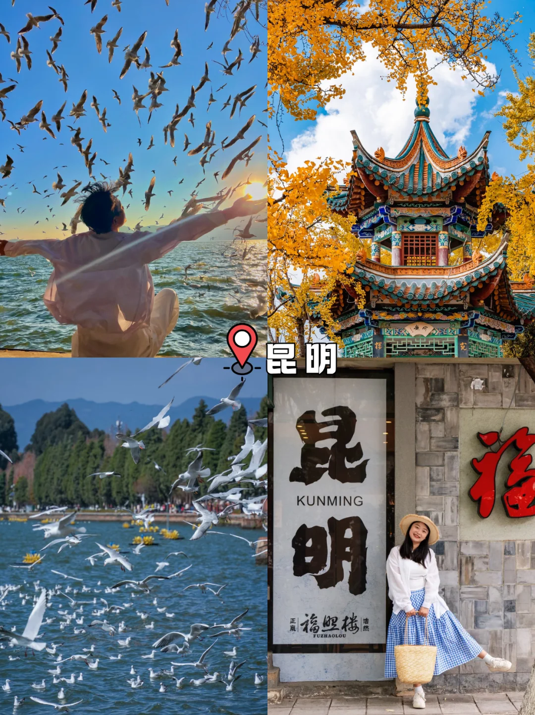 云南高奢小团定制游|昆明大理丽江避峰之旅