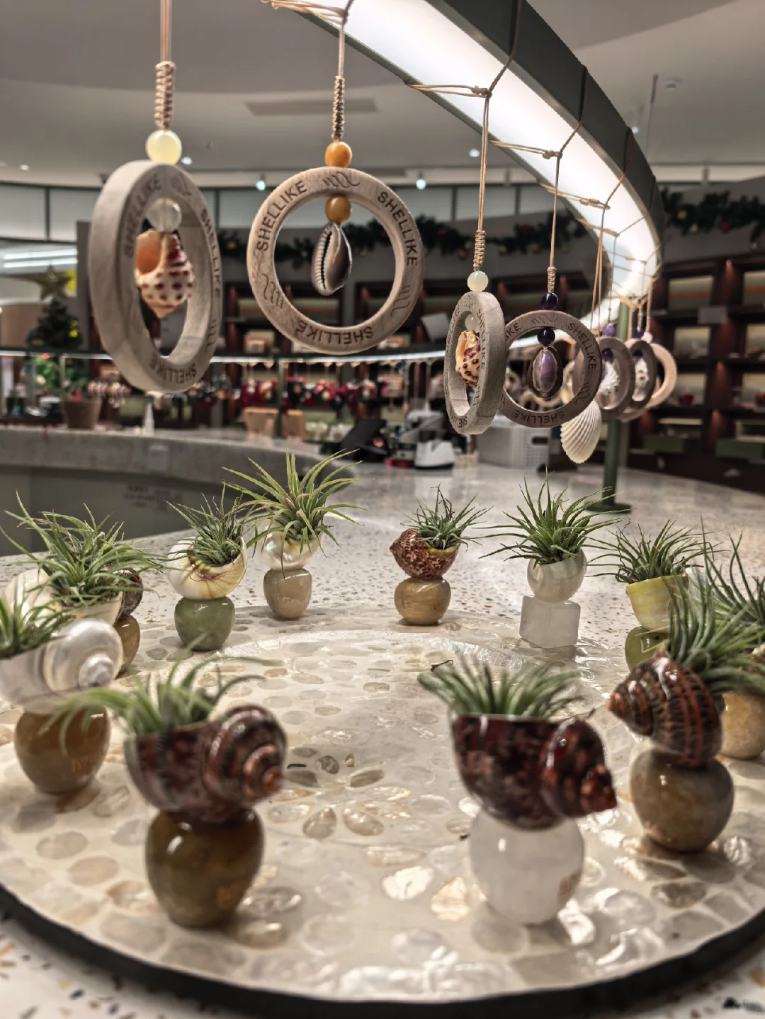 珠海🌊淡季来真的不要太爽!