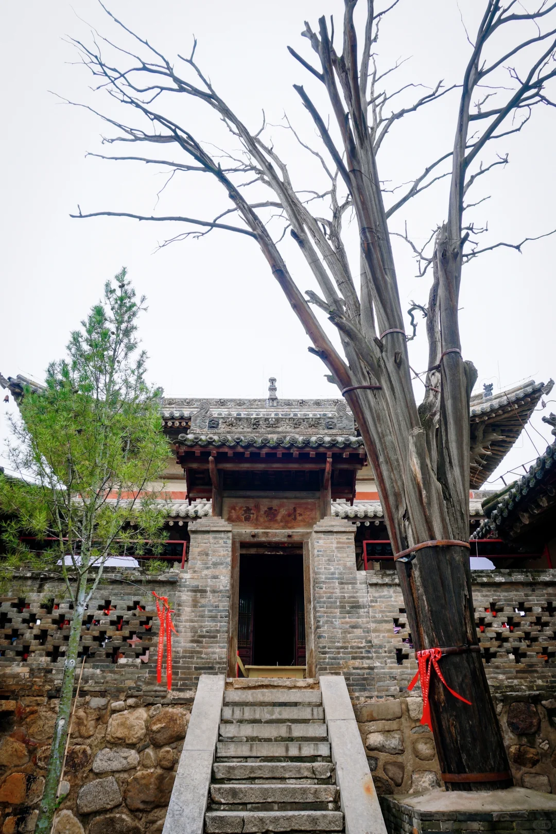 福胜寺丨最美渡海观音🌊三佛洞开放啦✨