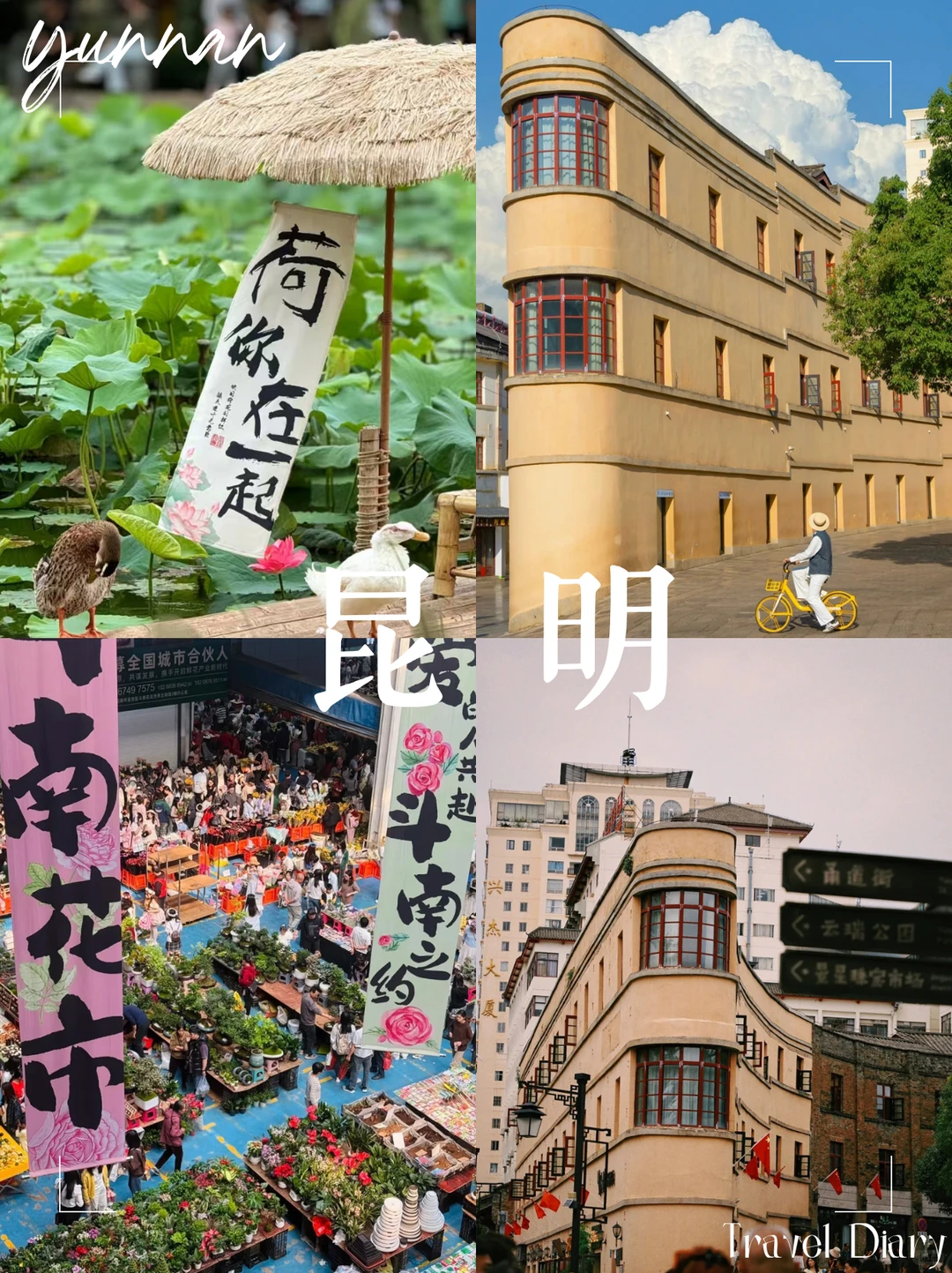 云南旅游🚩私人定制攻略 告别赶场式打卡