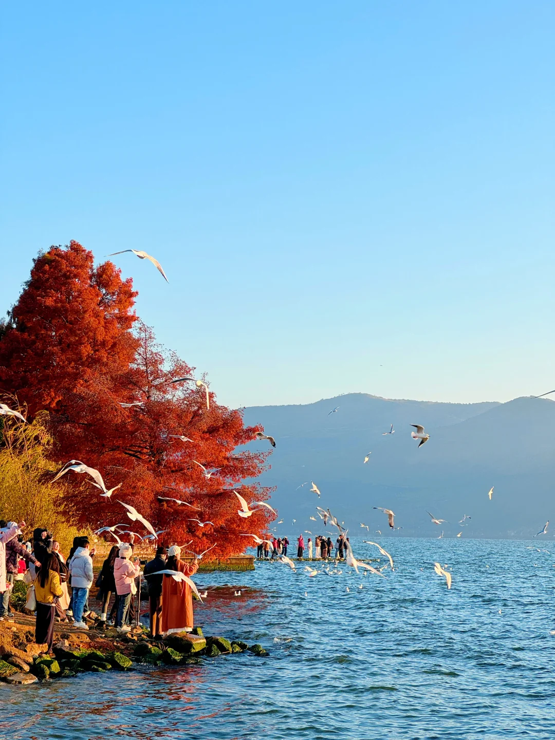 听xhs劝了 和朋友去云南报了个纯玩团后续…