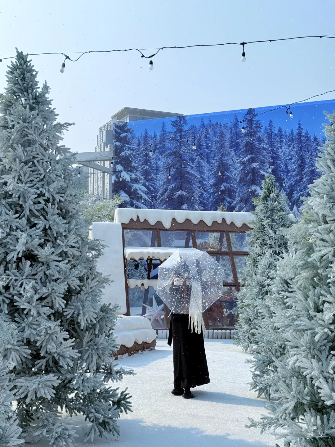 南昌免费新展！！冬日雪景花园美疯了。。。。