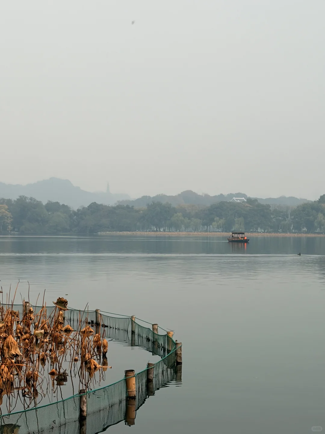 西湖边被低估的郭庄，藏着江南独有的温柔
