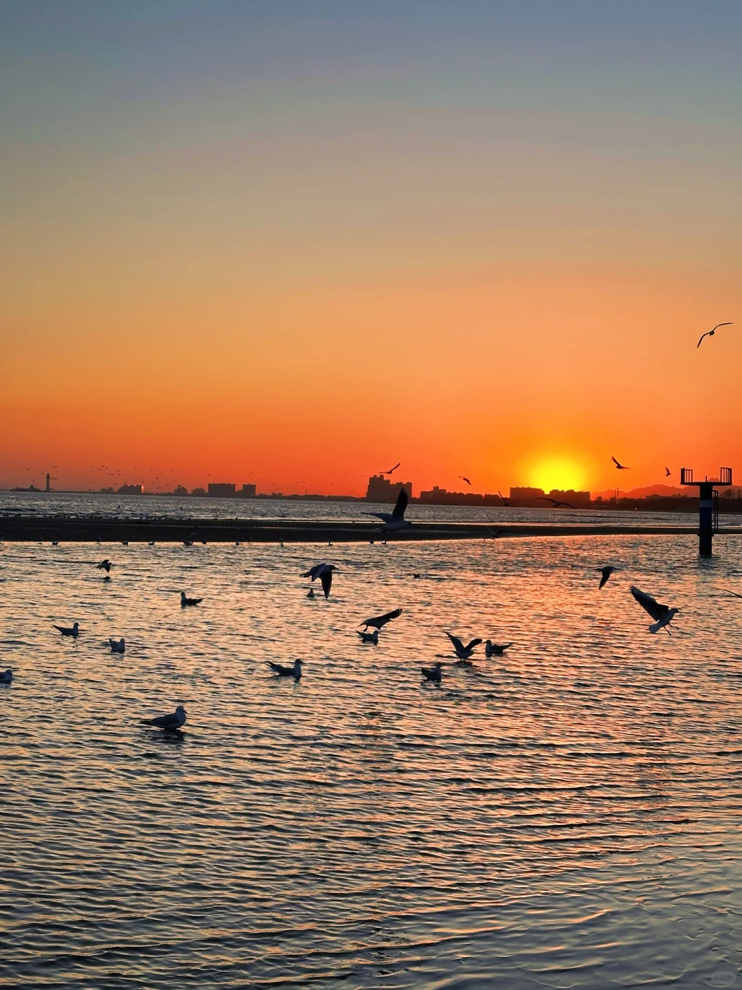 秦皇岛冻海美到失语❄️下月一起看冰河世纪‼️