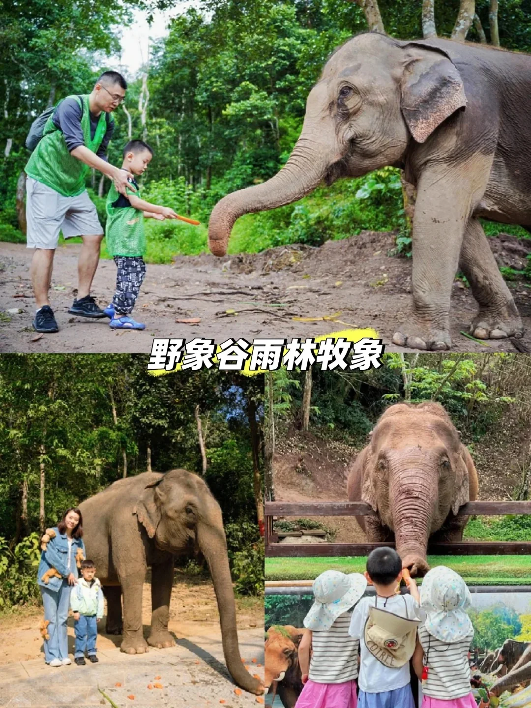 人生建议:带娃去西双版纳,一定要寒假去!