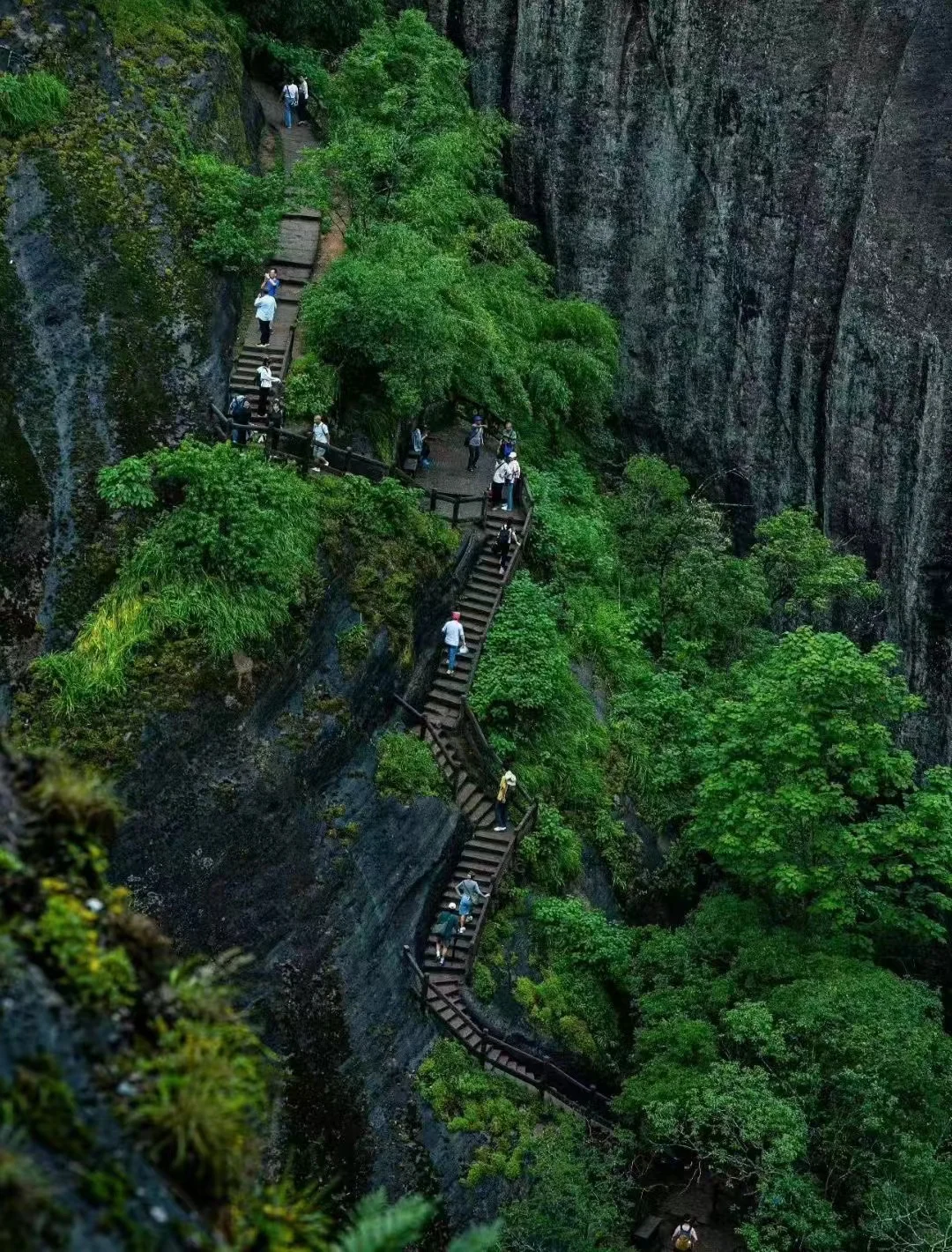 武夷山现在人少景美，景区门票全免！！！