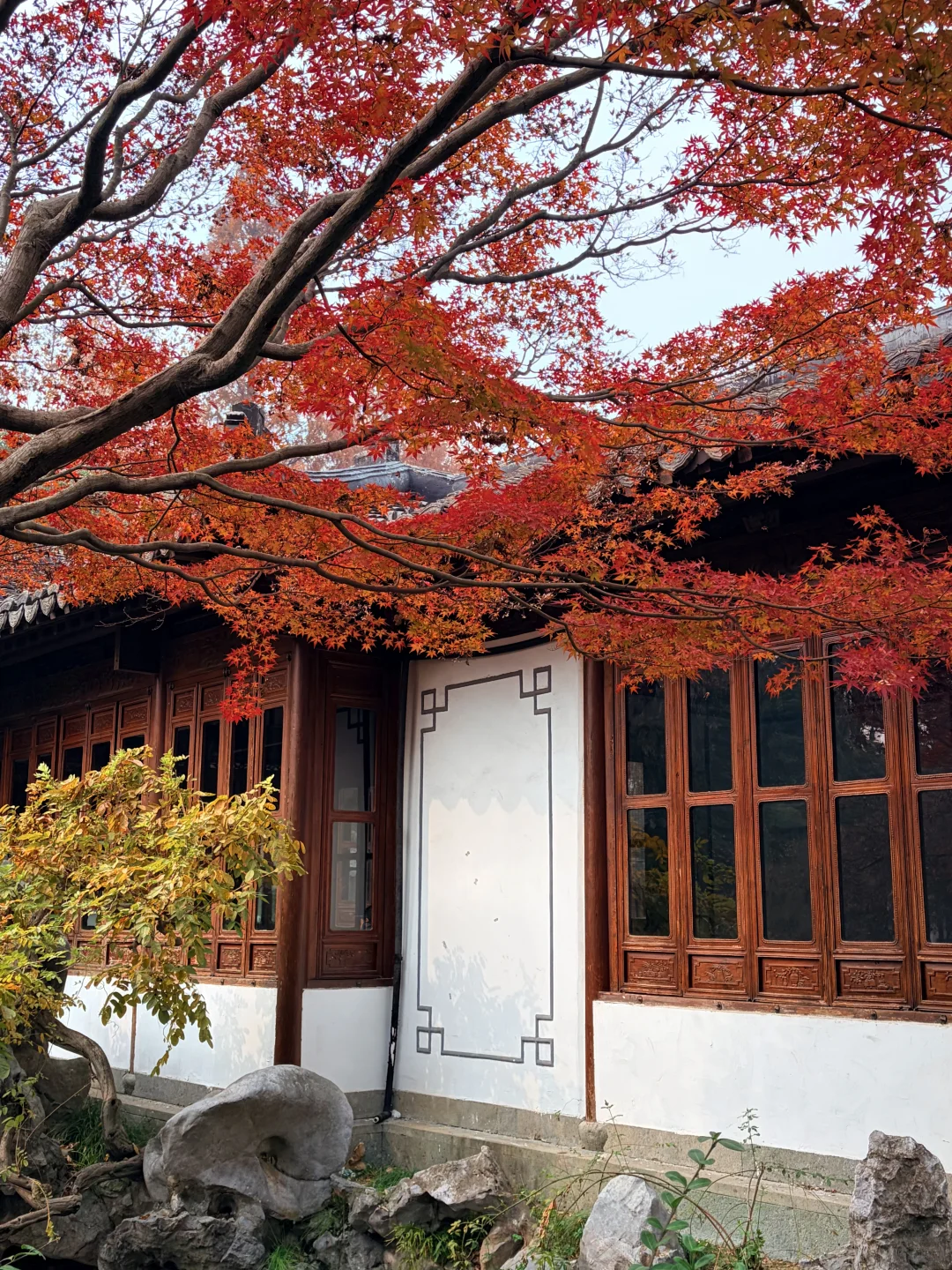 西湖边被低估的郭庄，藏着江南独有的温柔