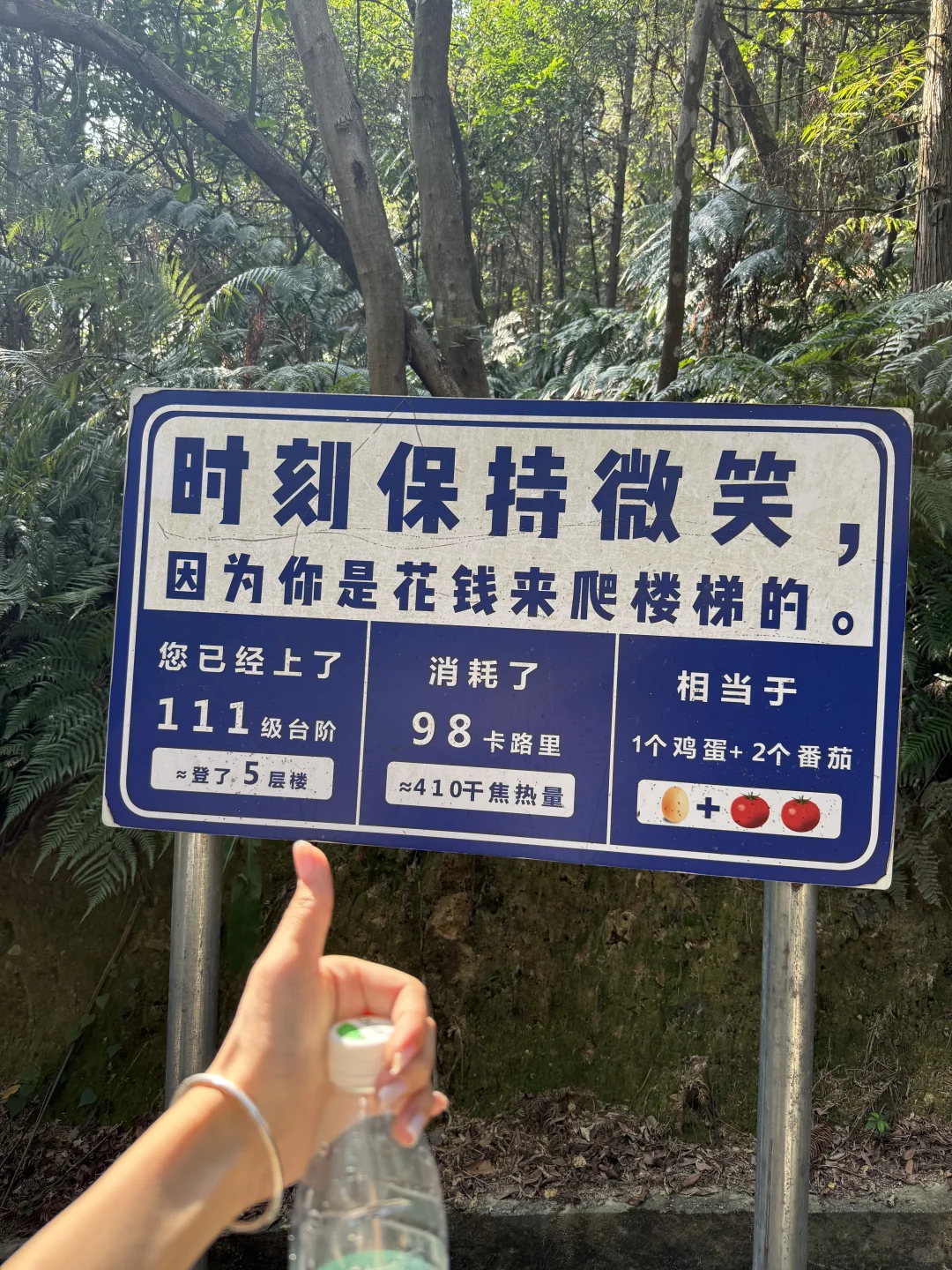 这里真的太适合放空自己了～⛰️
