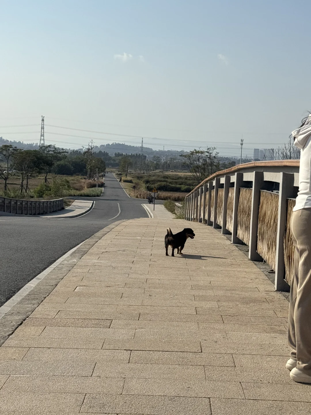 我们都向往没有天花板的地方