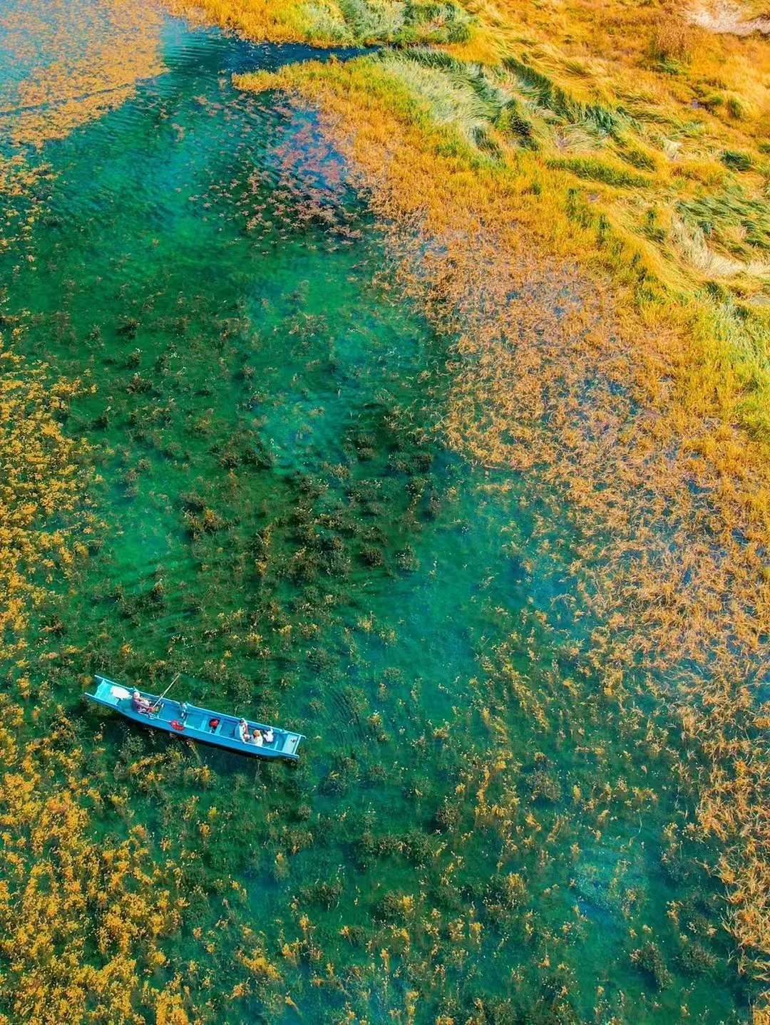 📍云南包车最近推荐景点！
