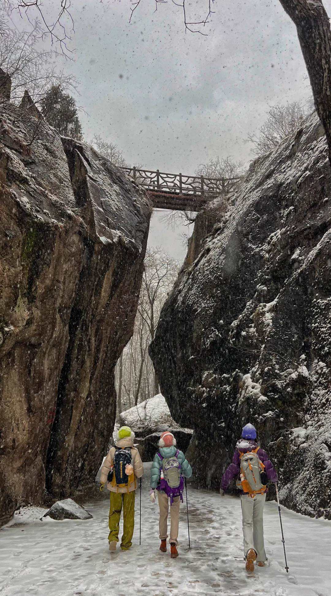 快去翠华山玩雪吧，已封神❄️