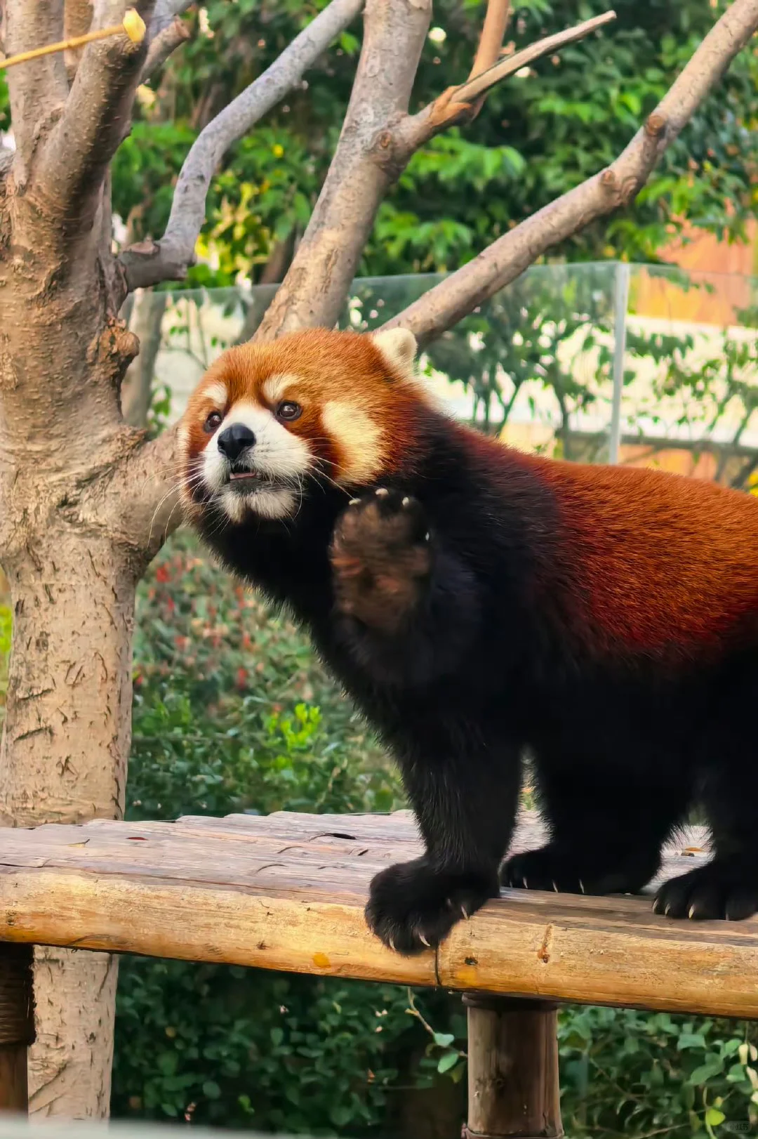 12月银基避雷攻略💣玩了两天,超好玩超值