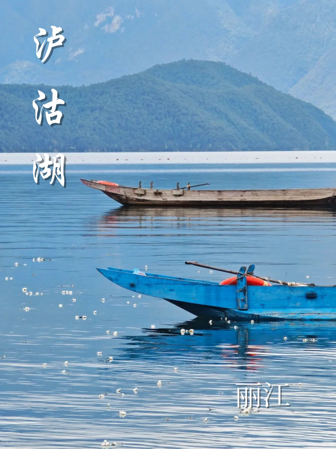 🍂 九月云南 邂逅初秋 自由省心又随心