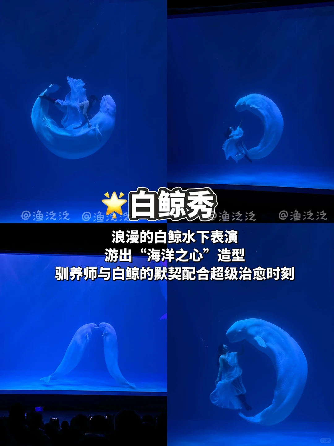 哈尔滨攻略🔥9个必去景点✅花钱少玩得爽🌟