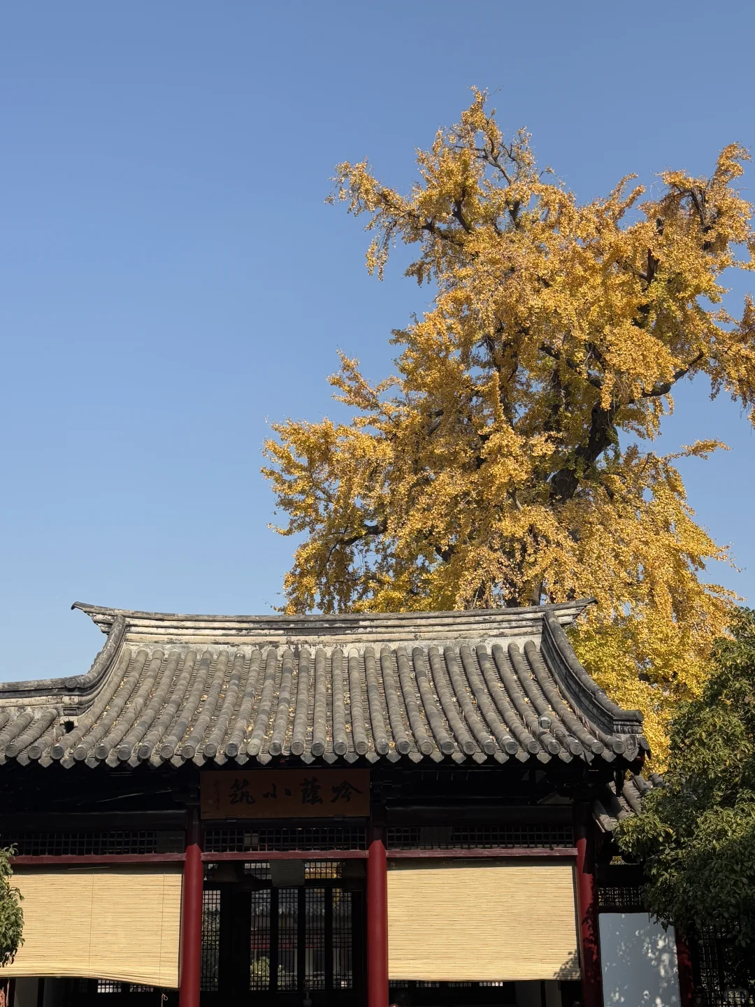 逃离城市计划 | 常熟你真的是，又美又安静