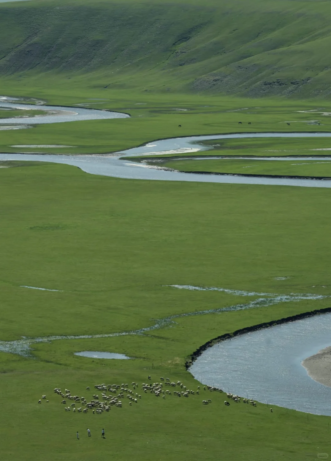 呼伦贝尔夏日躺玩攻略,绝美风光全打卡!