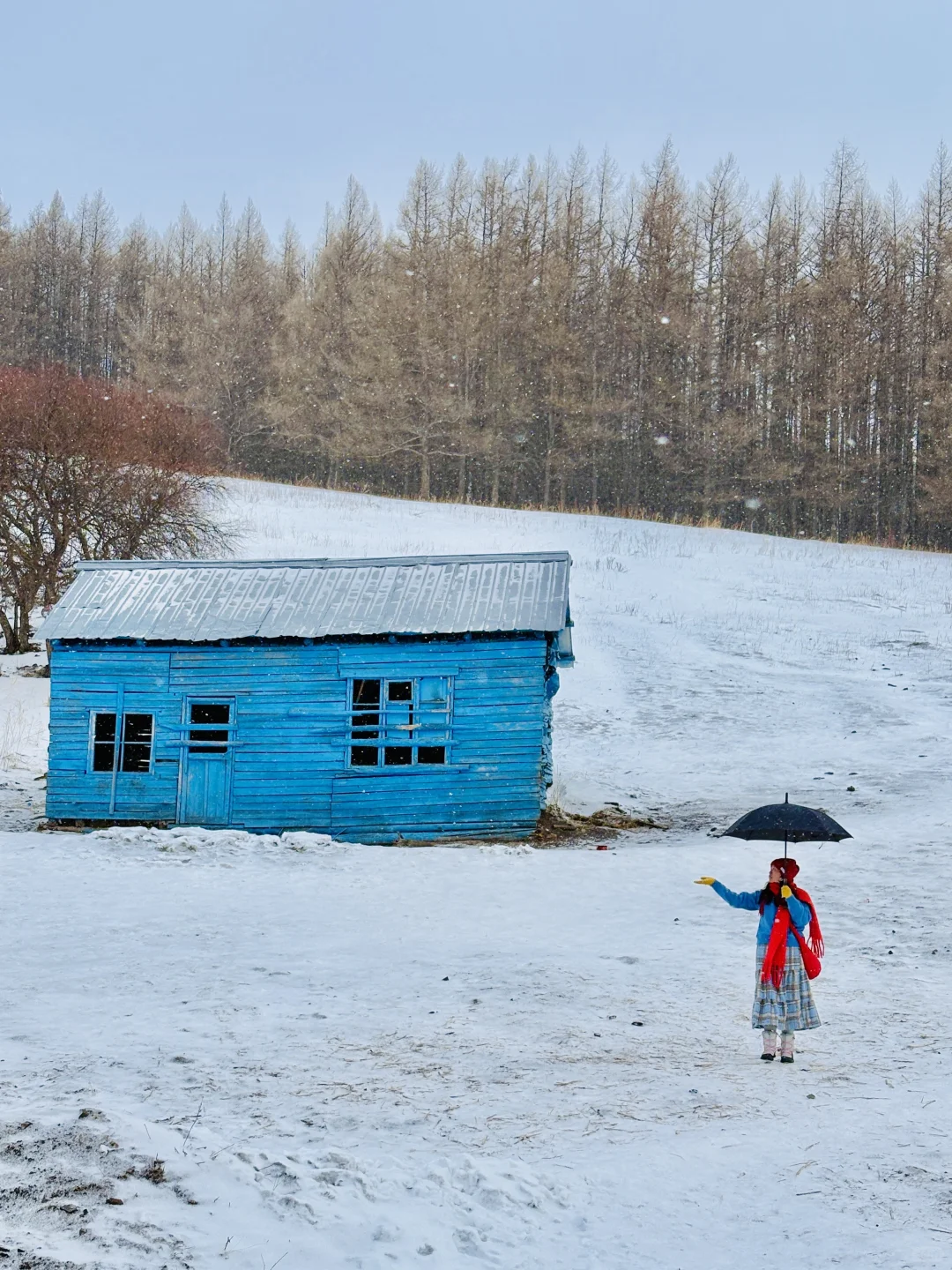 冬天的 呼伦贝尔 杀疯了丨live实拍 附攻略