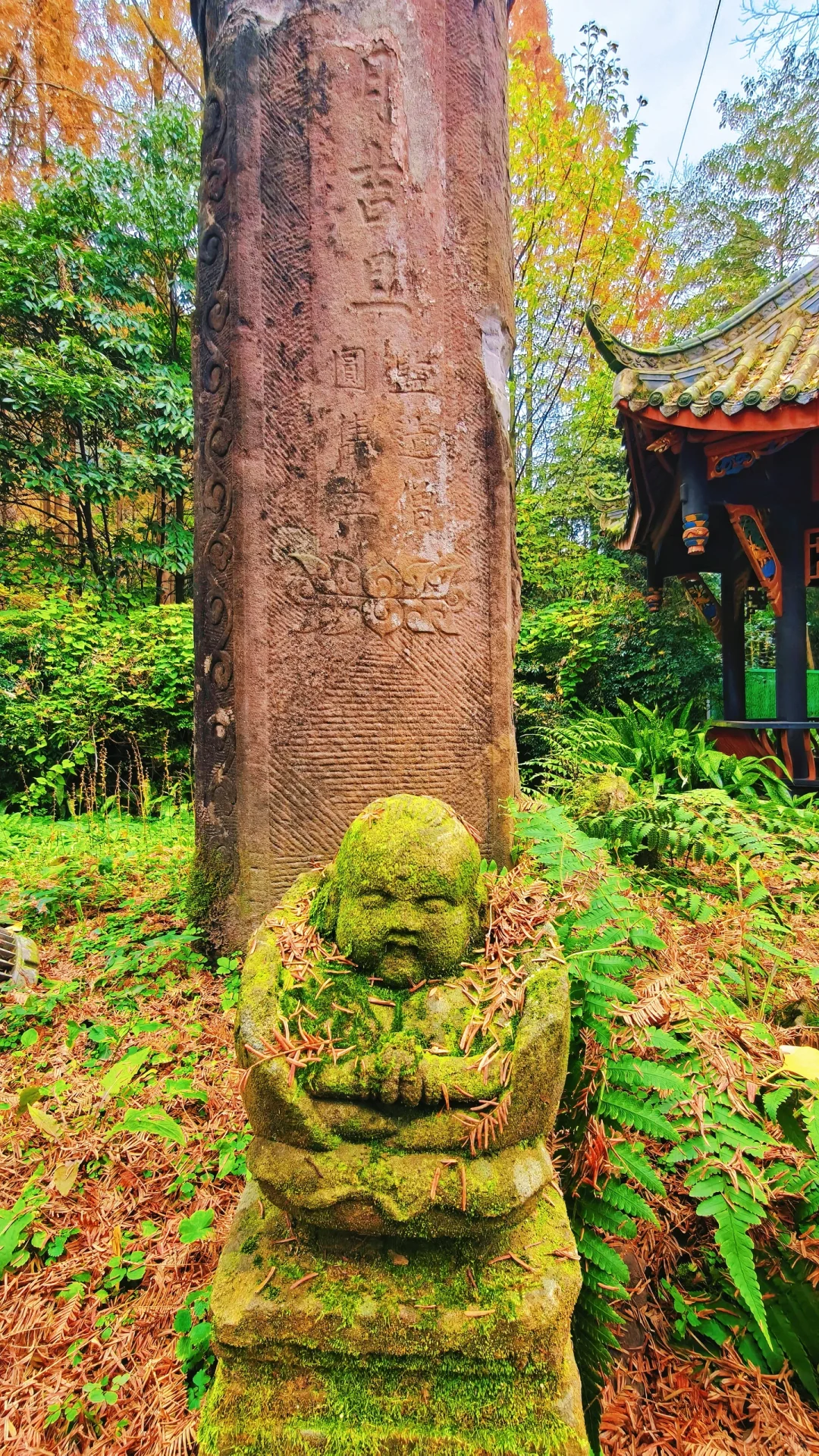 秋日古刹的静谧时光 🍁