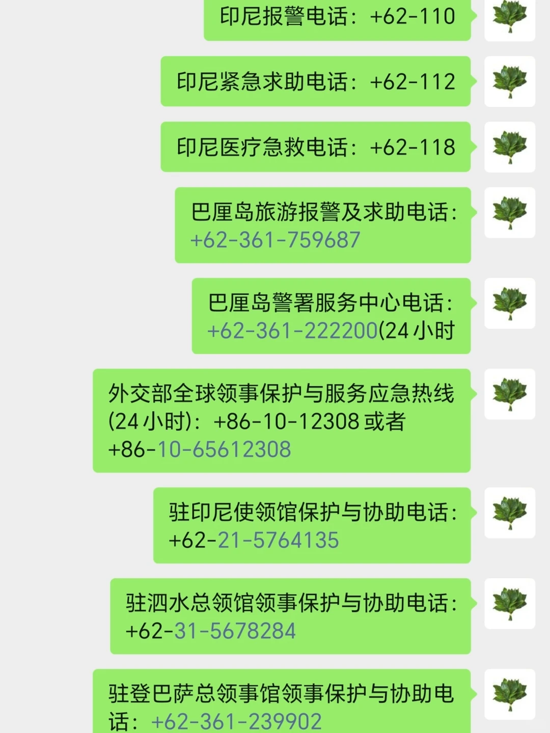 提醒12-3月来巴厘岛旅游的姐妹一定要看哟