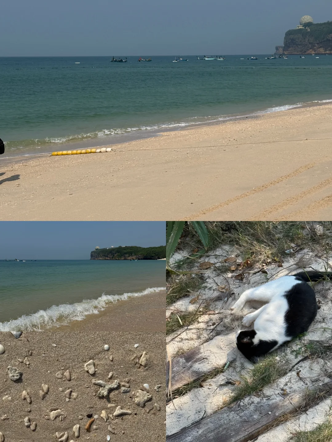 南京出发🛫二刷涠洲岛 游玩真实测评