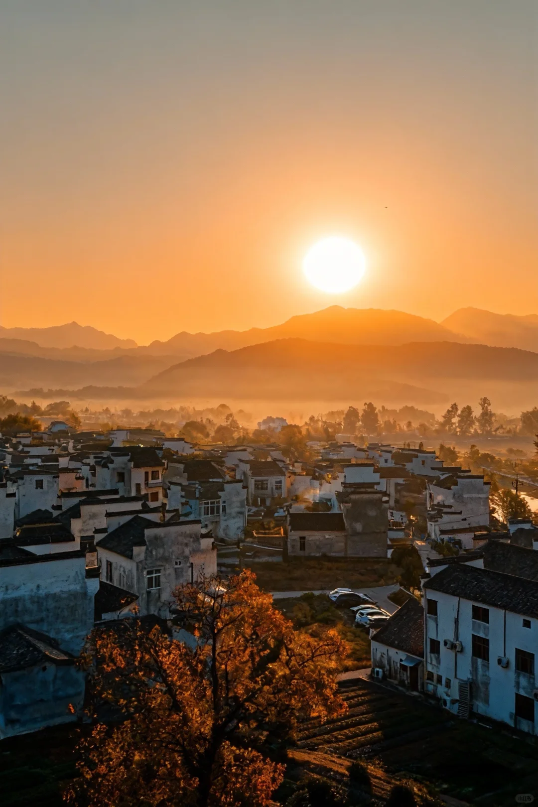 可惜你不来皖南🍂不知道卢村能有多美!!