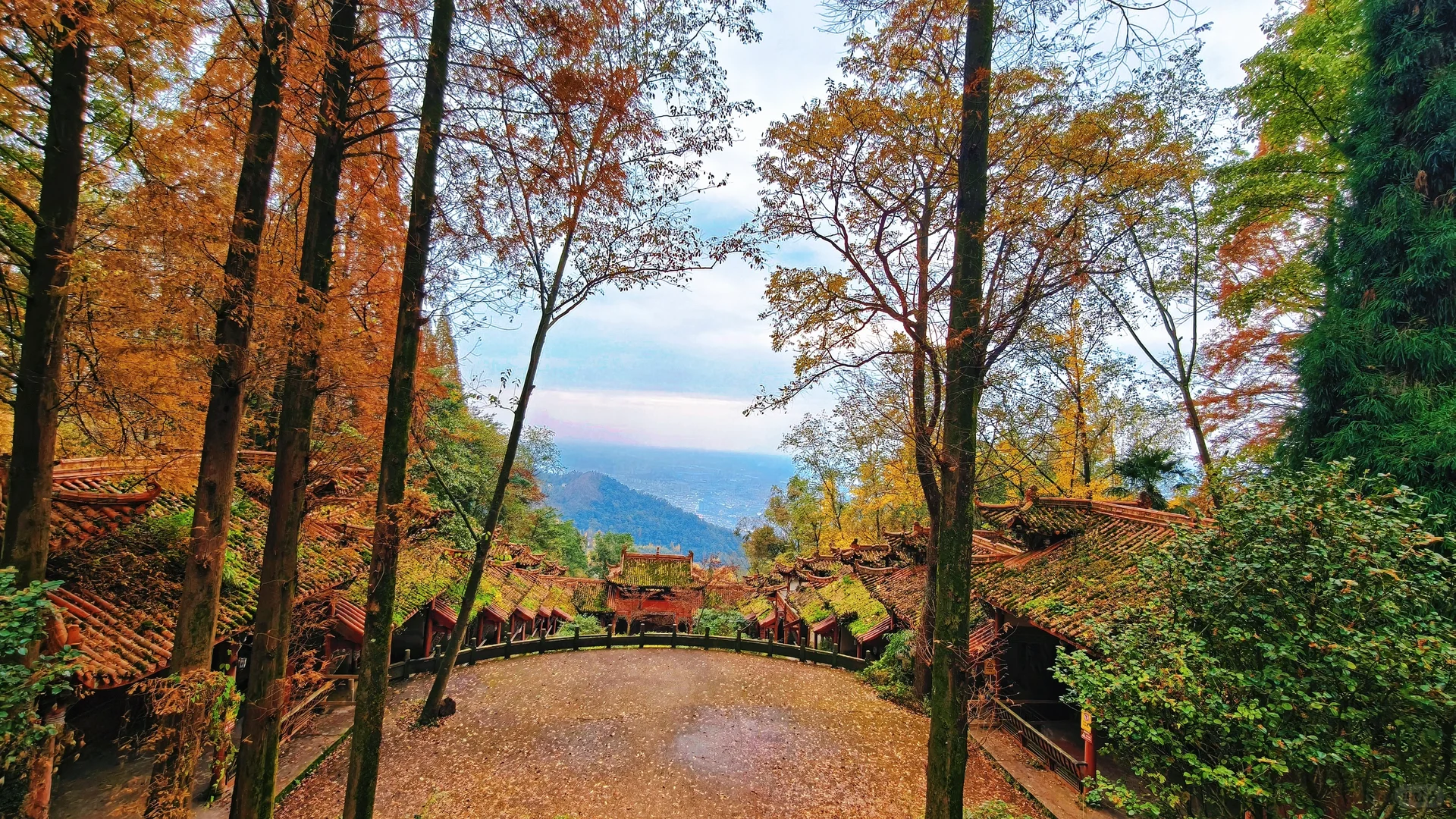秋日古刹的静谧时光 🍁