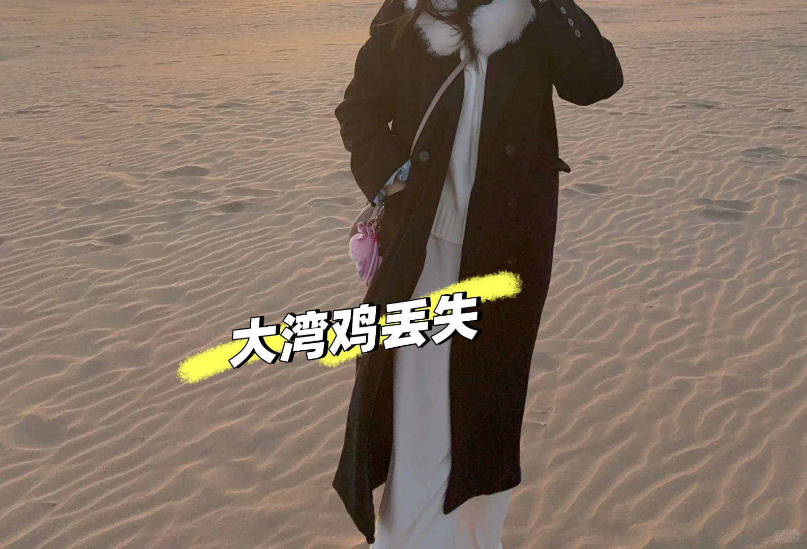 青岛旅游 丢失大湾鸡乐融融挂件一枚