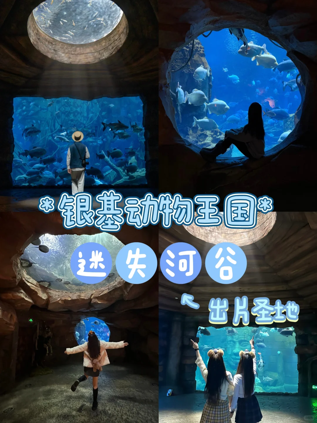 银基动物王国 | 迷失河谷拍照封神攻略📸