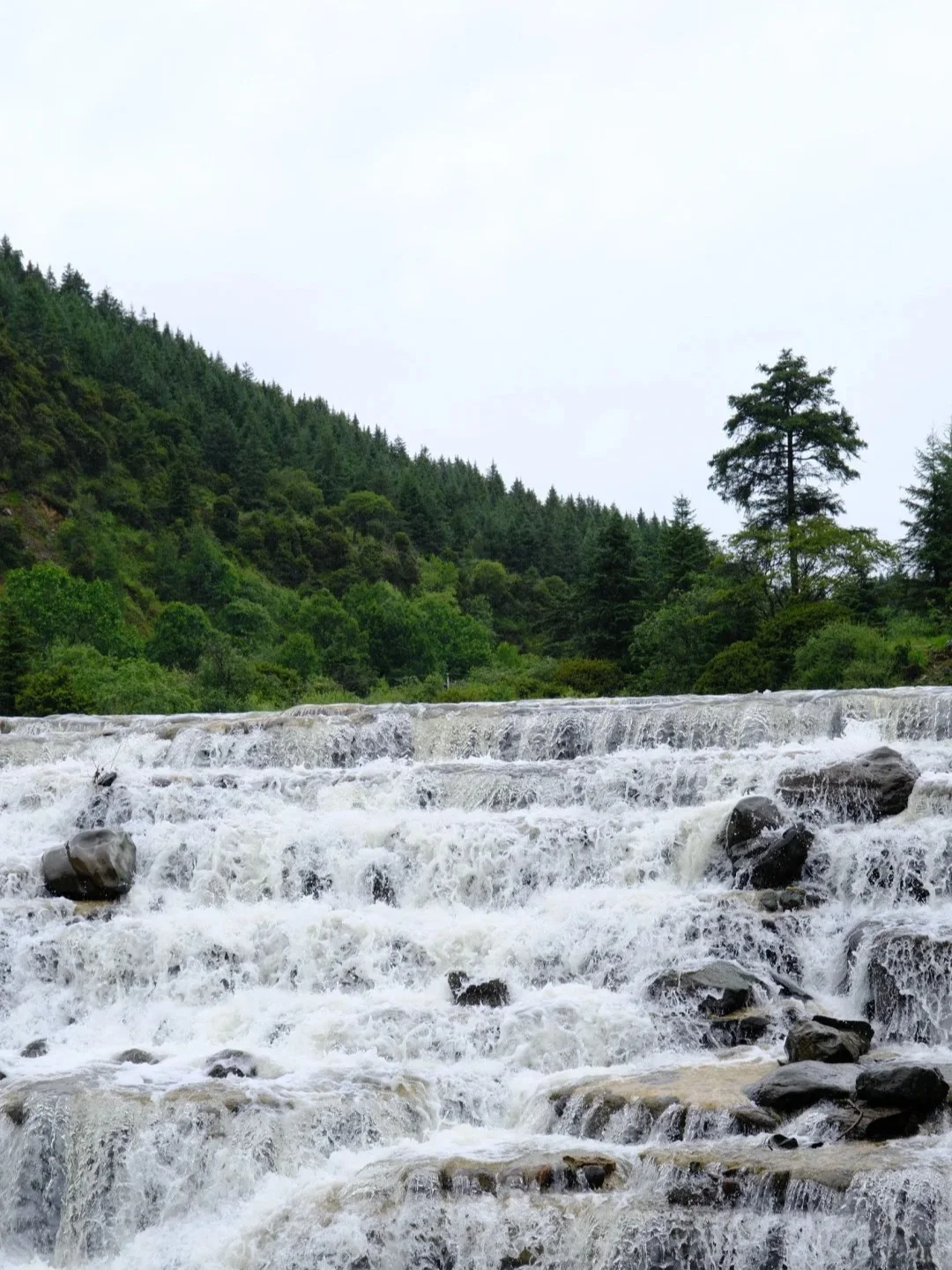 普达措徒步指南，高原秘境这样玩才尽兴！